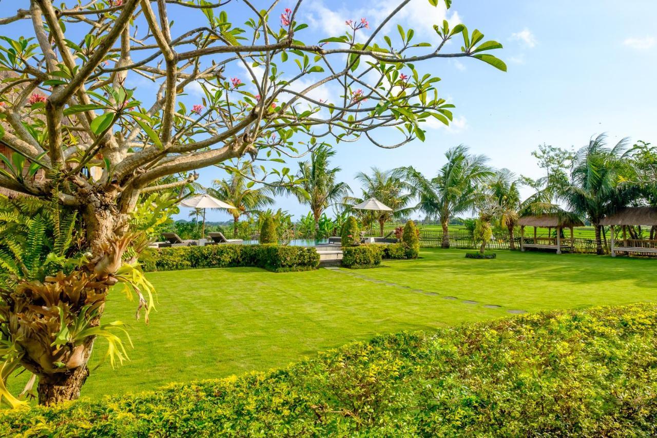 Canggu Wooden Green Paradise ภายนอก รูปภาพ