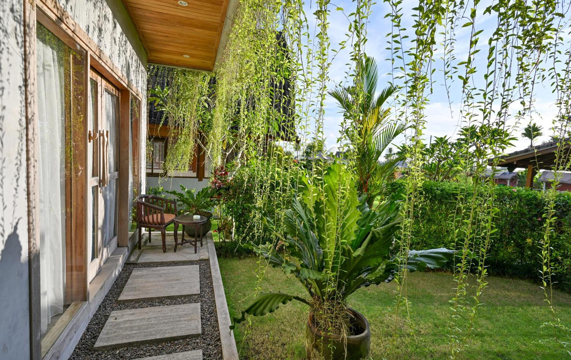 Canggu Wooden Green Paradise ห้อง รูปภาพ