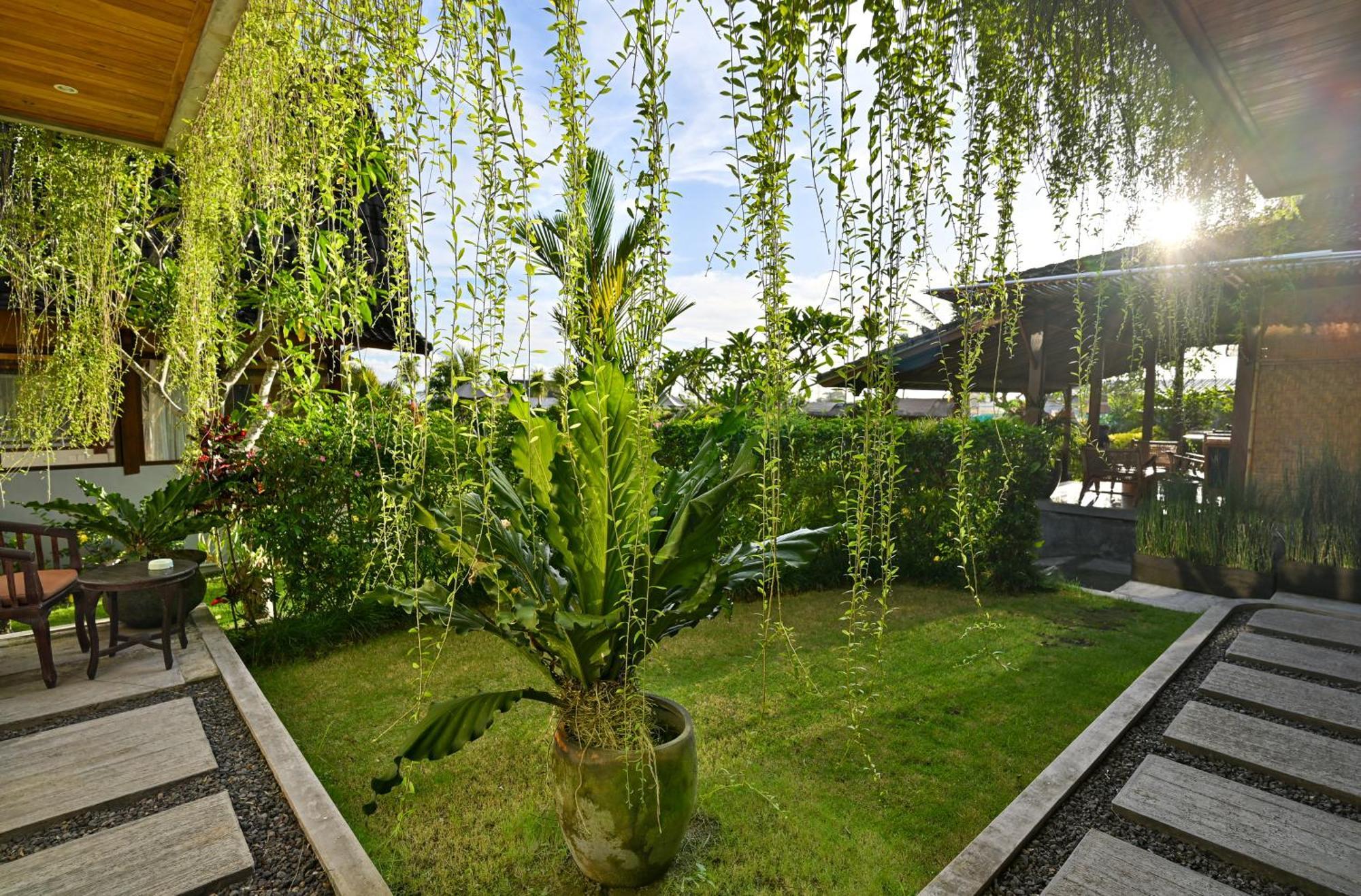 Canggu Wooden Green Paradise ห้อง รูปภาพ