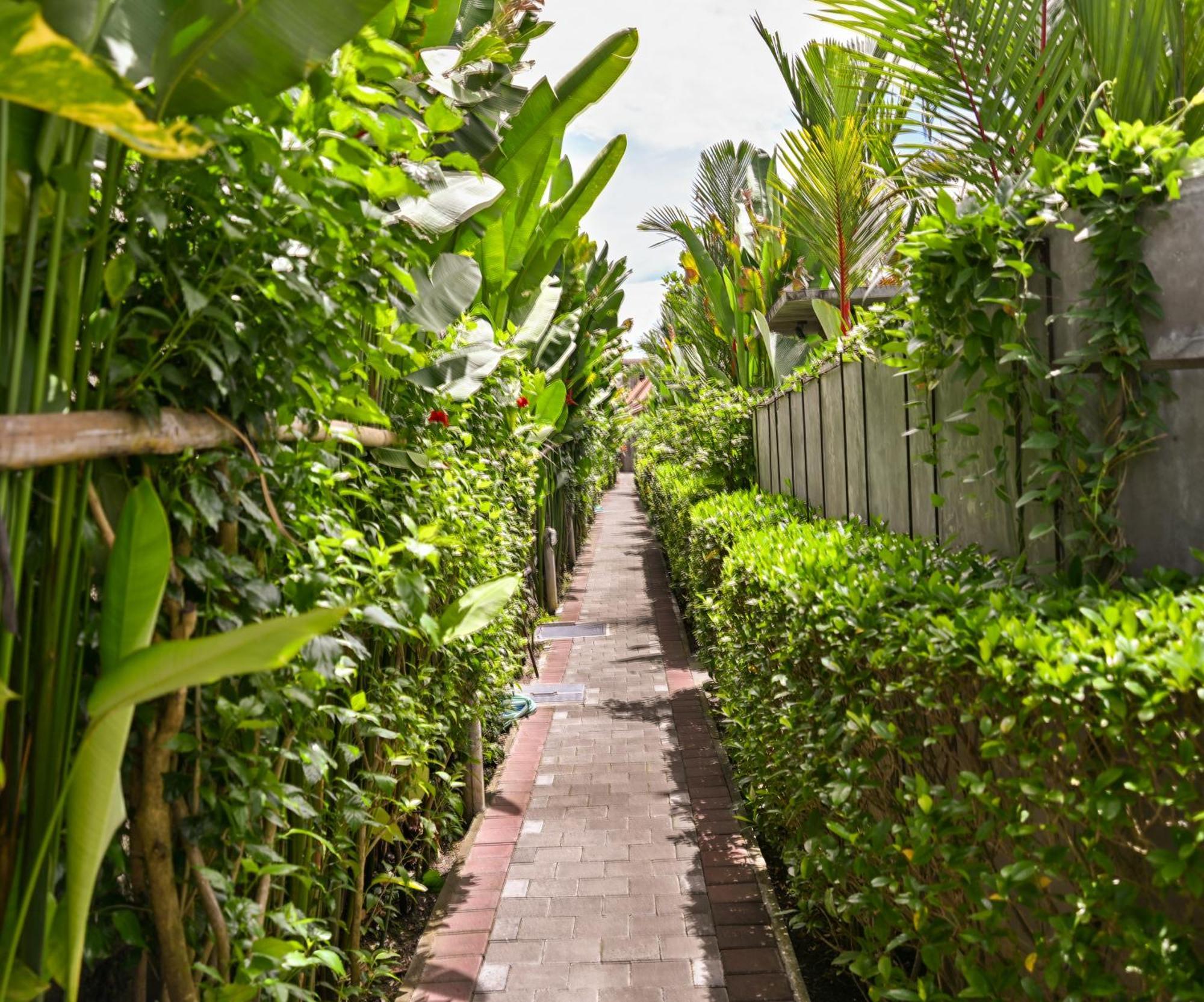 Canggu Wooden Green Paradise ภายนอก รูปภาพ
